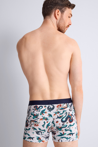 Men's Mosaic Gots Boxer with mythical
creatures - Aubade Homme 