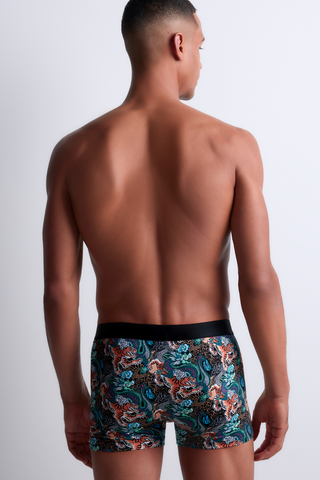 Aubade Homme Men's Modal Cotton Tiger & Dragon Boxer