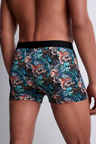Aubade Homme Men's Modal Cotton Tiger & Dragon Boxer