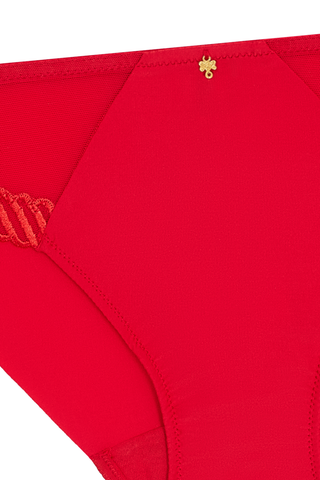 Aubade Sheer Emotion Red Brazilian Brief - Naughty Knickers