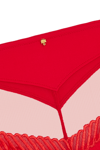 Aubade Sheer Emotion Red Shorty - Naughty Knickers