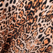 Amber Panther